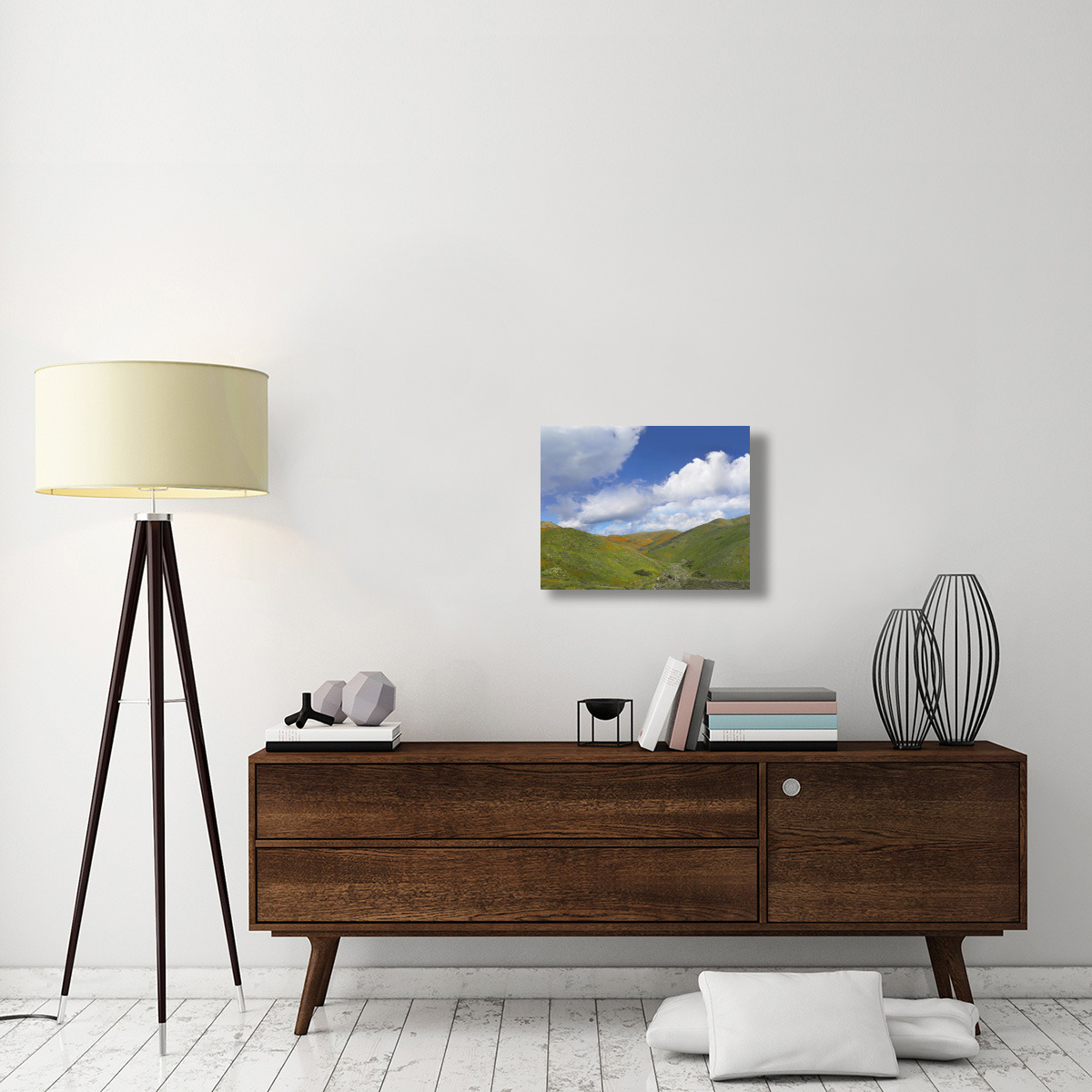 Temescal Hills, southern California-Canvas Art-24&quotx18"