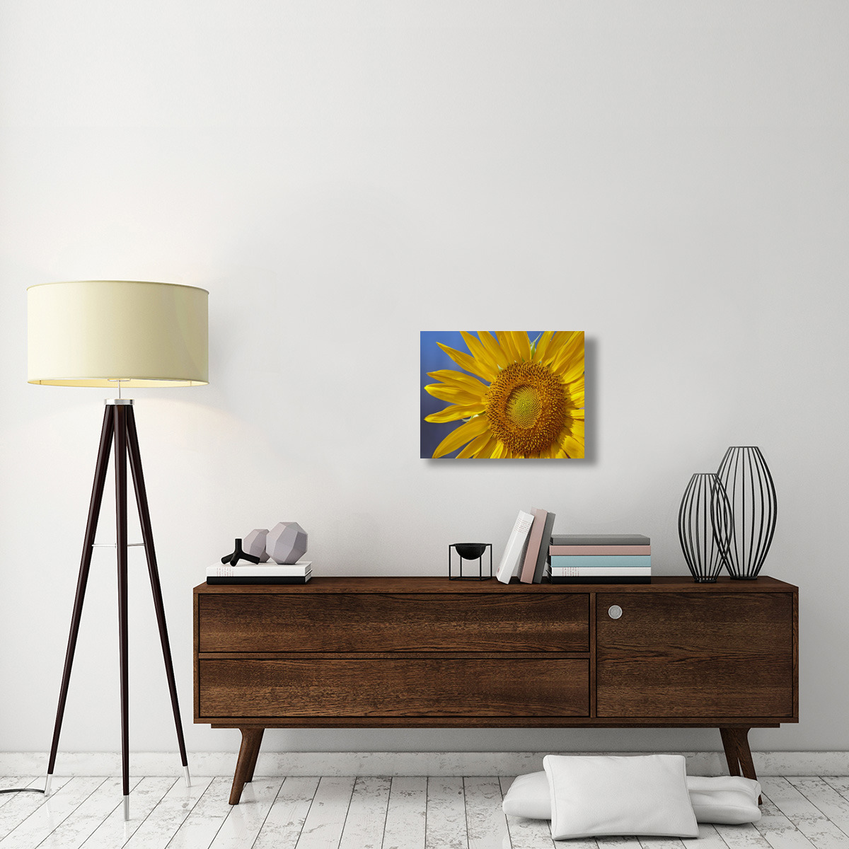 Common Sunflower flower, North America-Canvas Art-24&quotx18"