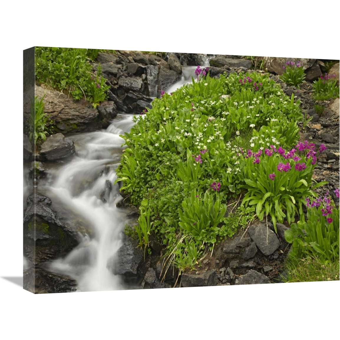 Porphyry Creek near Silverton, Colorado-Canvas Art-24&quotx18"