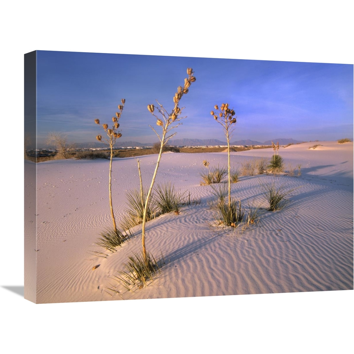 White Sands National Monument, New Mexico-Canvas Art-24&quotx18"