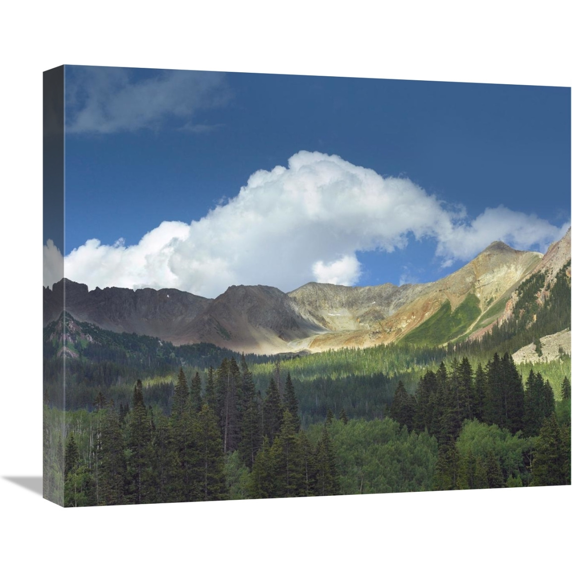 Elk Mountains near Crested Butte, Colorado-Canvas Art-22&quotx18.48"