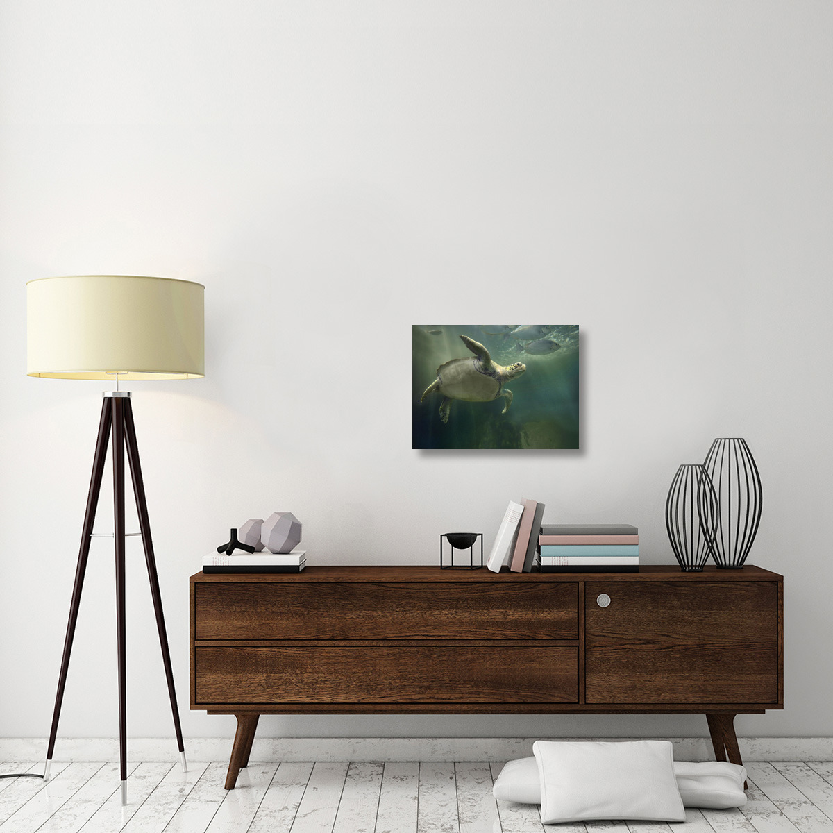 Green Sea Turtle and fish, Sabah, Malaysia-Canvas Art-24&quotx18"