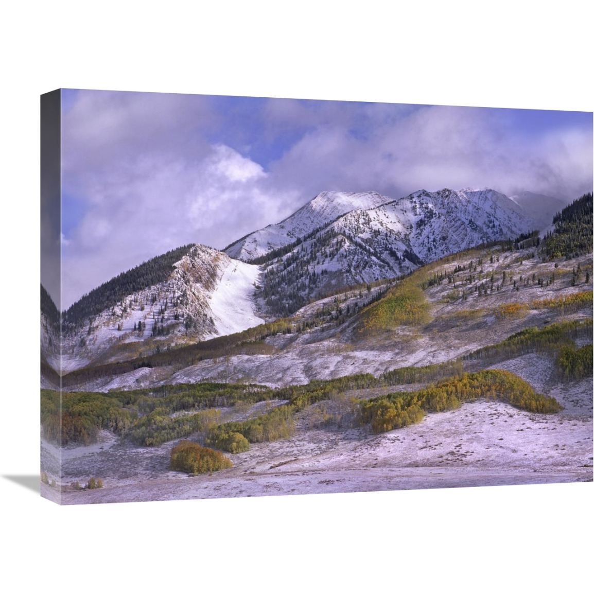 Elk Mountains with snow in autumn, Colorado-Canvas Art-24&quotx18"