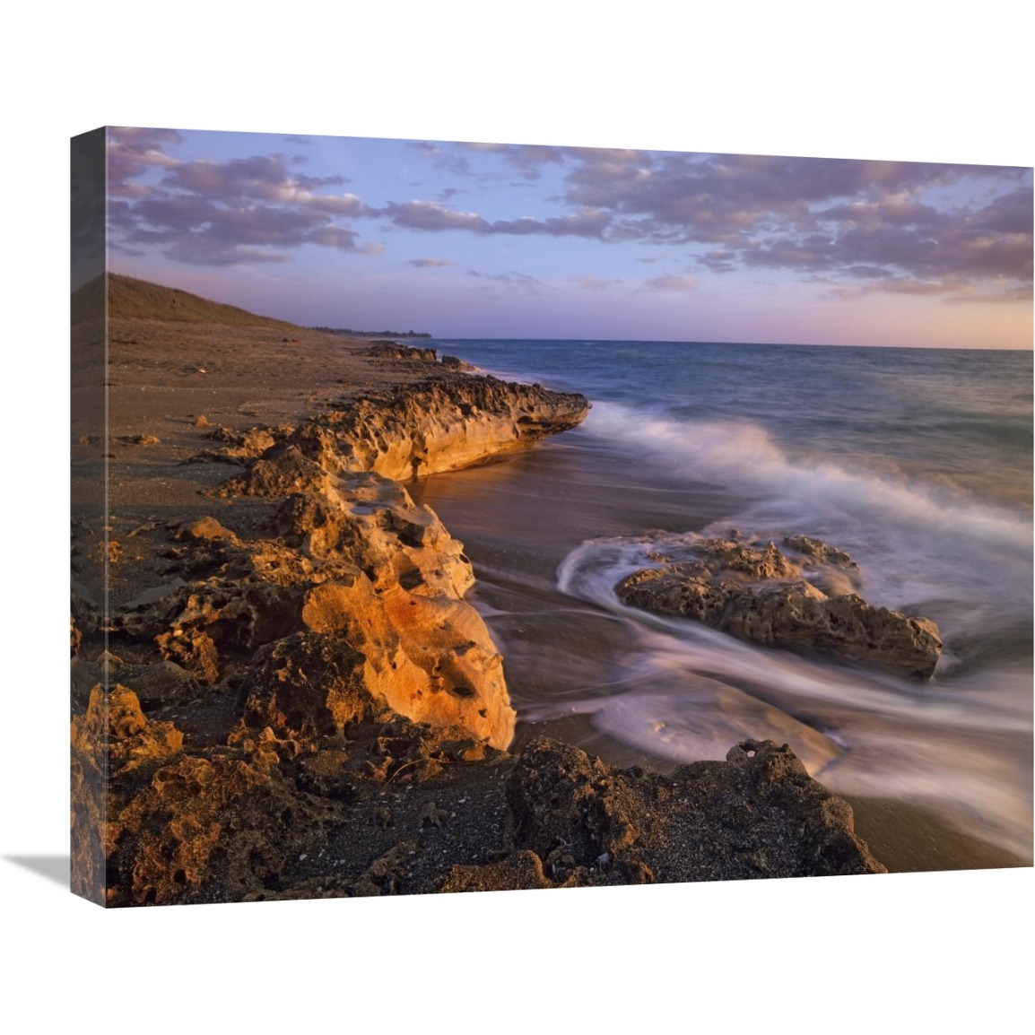 Beach at dusk, Blowing Rocks Preserve, Florida-Canvas Art-24&quotx20"