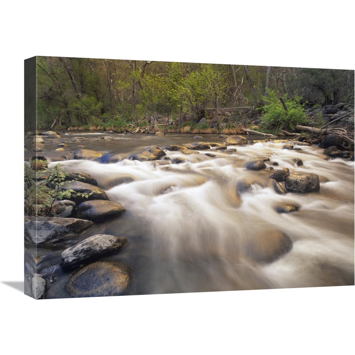 Oak Creek at Grasshopper Point, Sedona, Arizona-Canvas Art-24&quotx18"