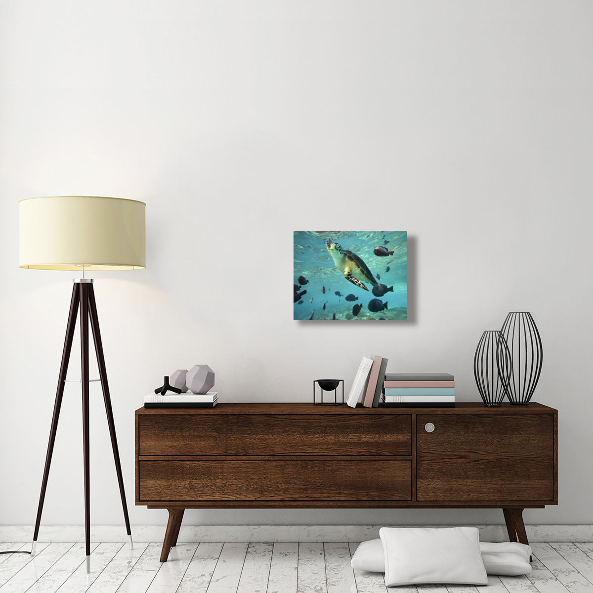 Green Sea Turtle, Balicasag Island, Philippines-Canvas Art-24&quotx18"