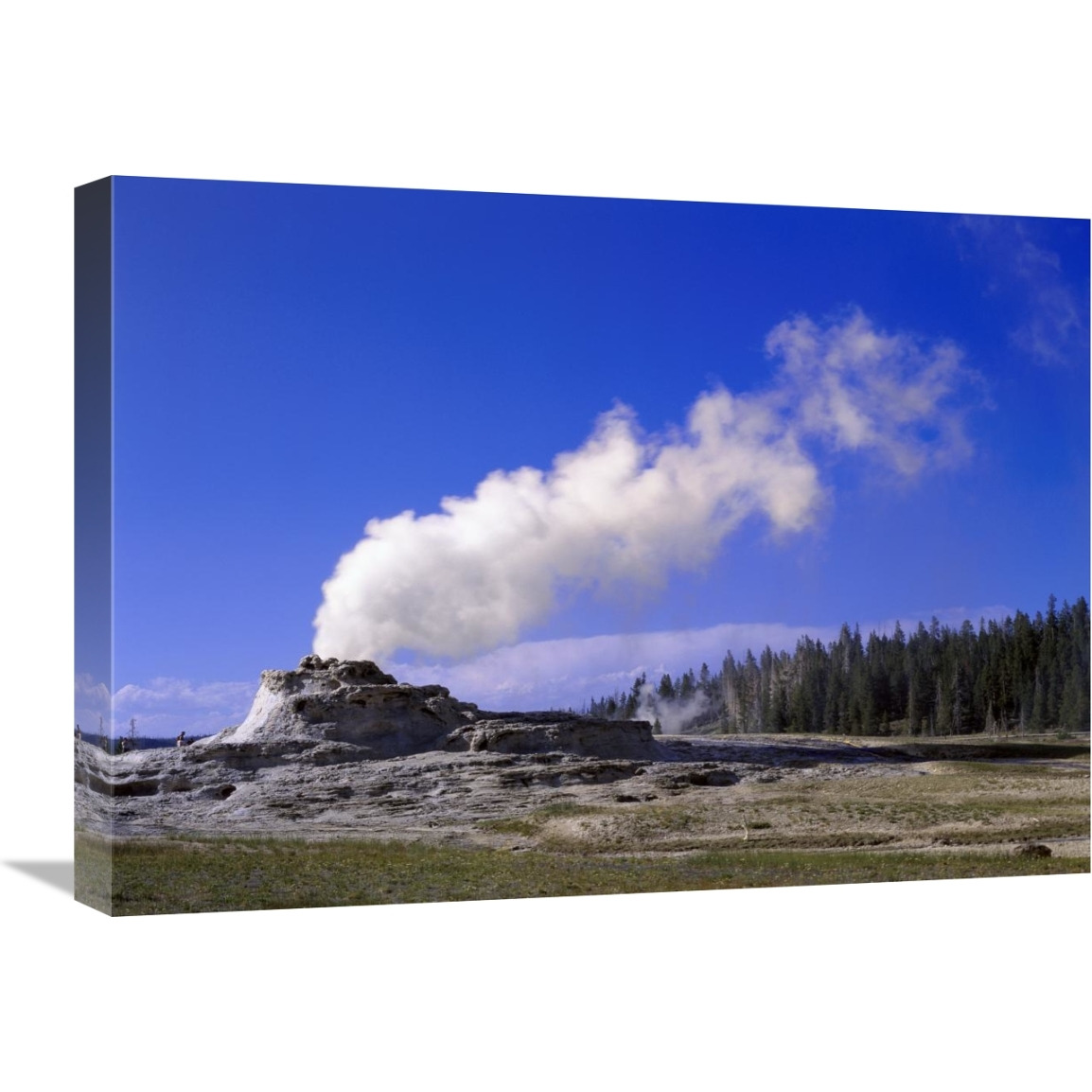 Castle Geyser, Yellowstone National Park, Wyoming-Canvas Art-24&quotx18"