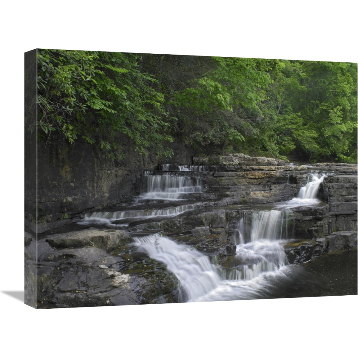 Dismal Falls, Jefferson National Forest, Virginia-Canvas Art-24&quotx18"