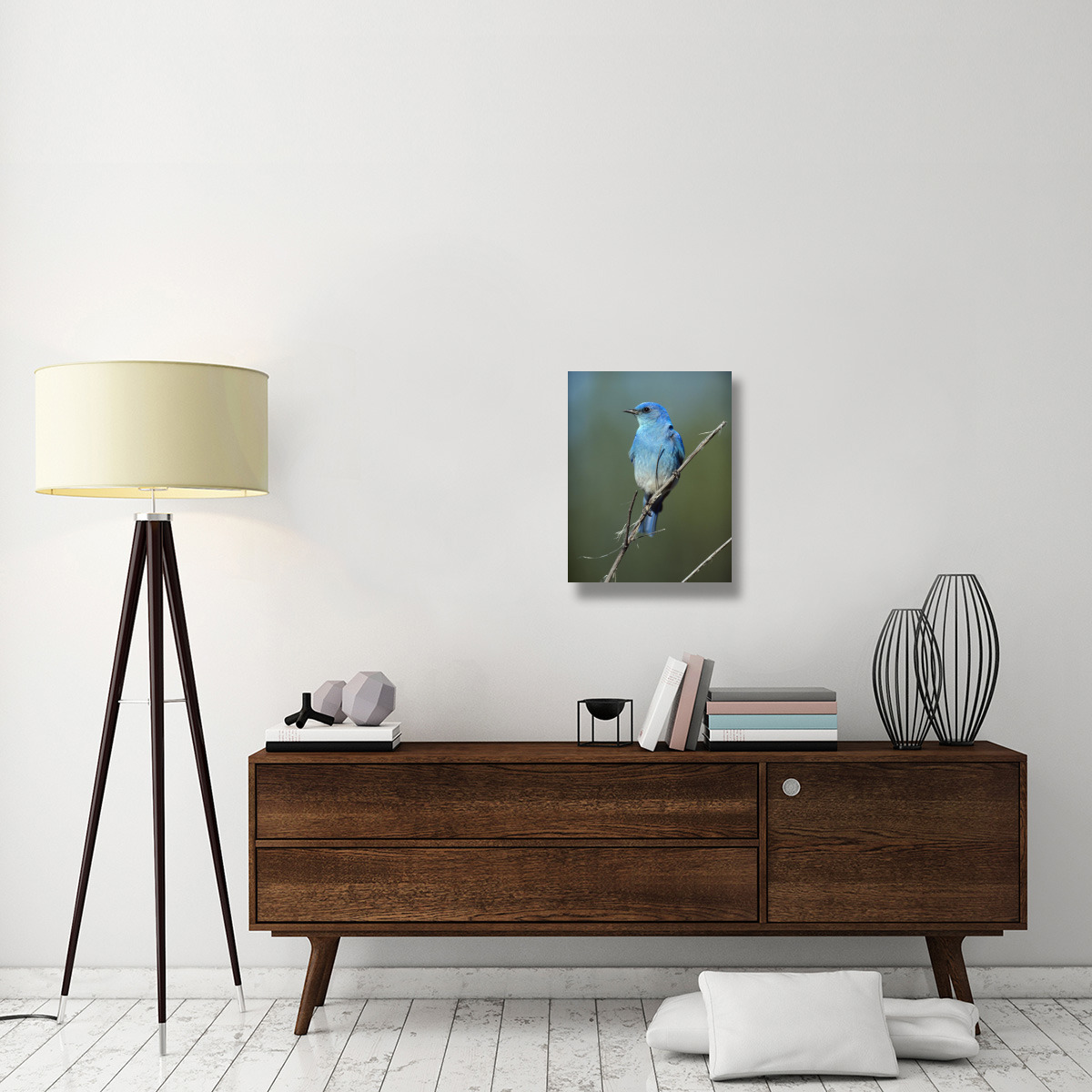 Mountain Bluebird perching on twig, North America-Canvas Art-18&quotx24"