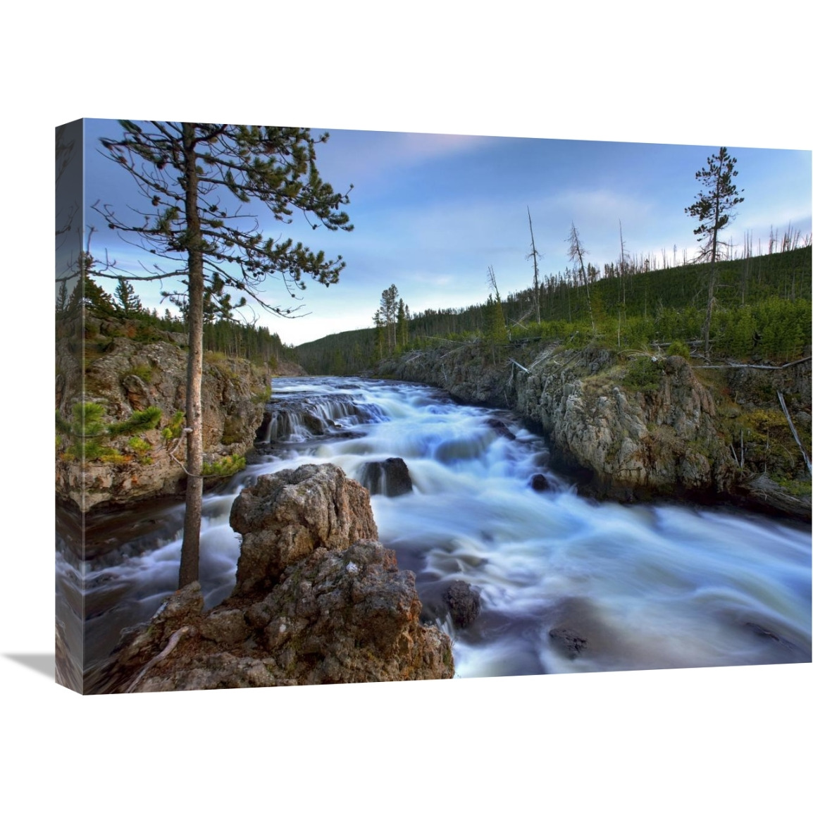 Firehole river, Yellowstone National Park, Wyoming-Canvas Art-24&quotx18"