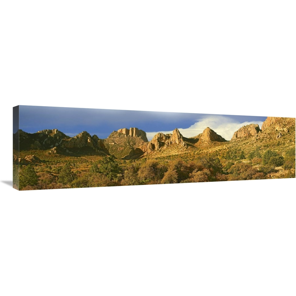 Panorama of Casa Grande National Monument, Arizona-Canvas Art-40&quotx12"