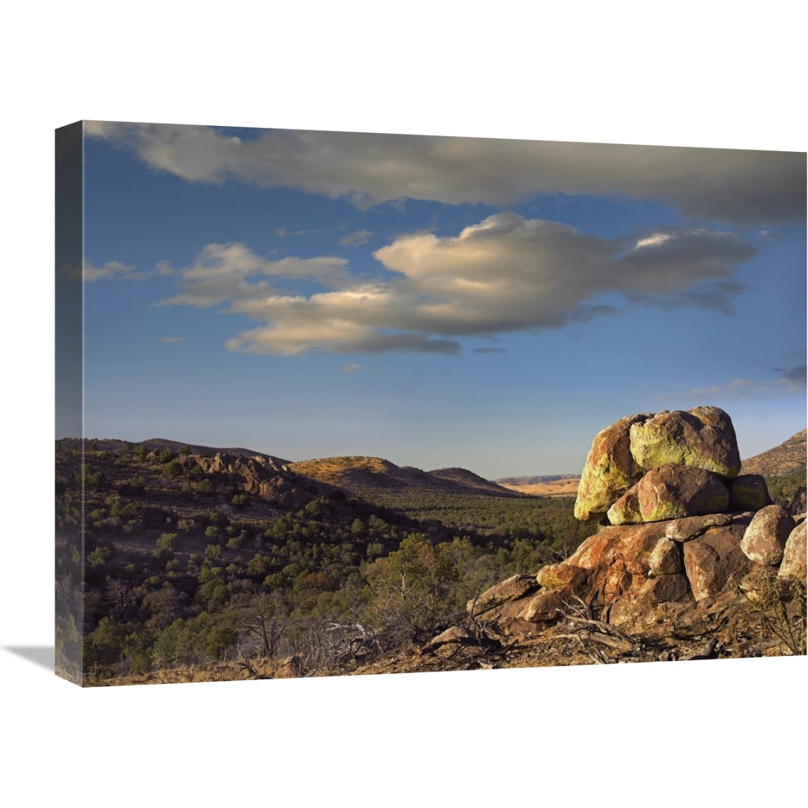 Rockpile, Davis Mountains, Chihuahuan Desert, Texas-Canvas Art-24&quotx18"