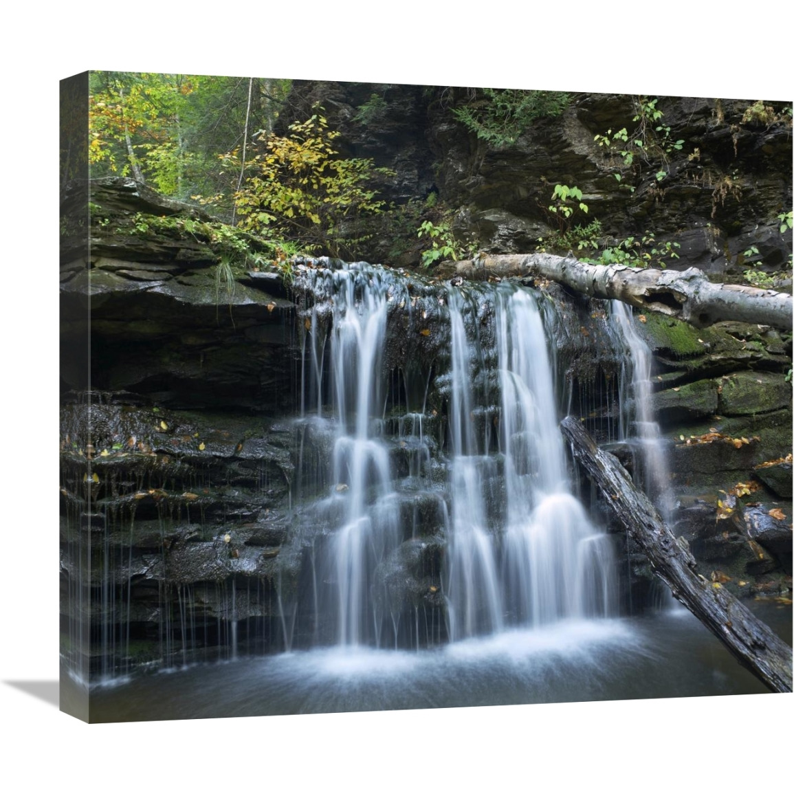 Seneca Falls, Ricketts Glen State Park, Pennsylvania-Canvas Art-22&quotx19.58"