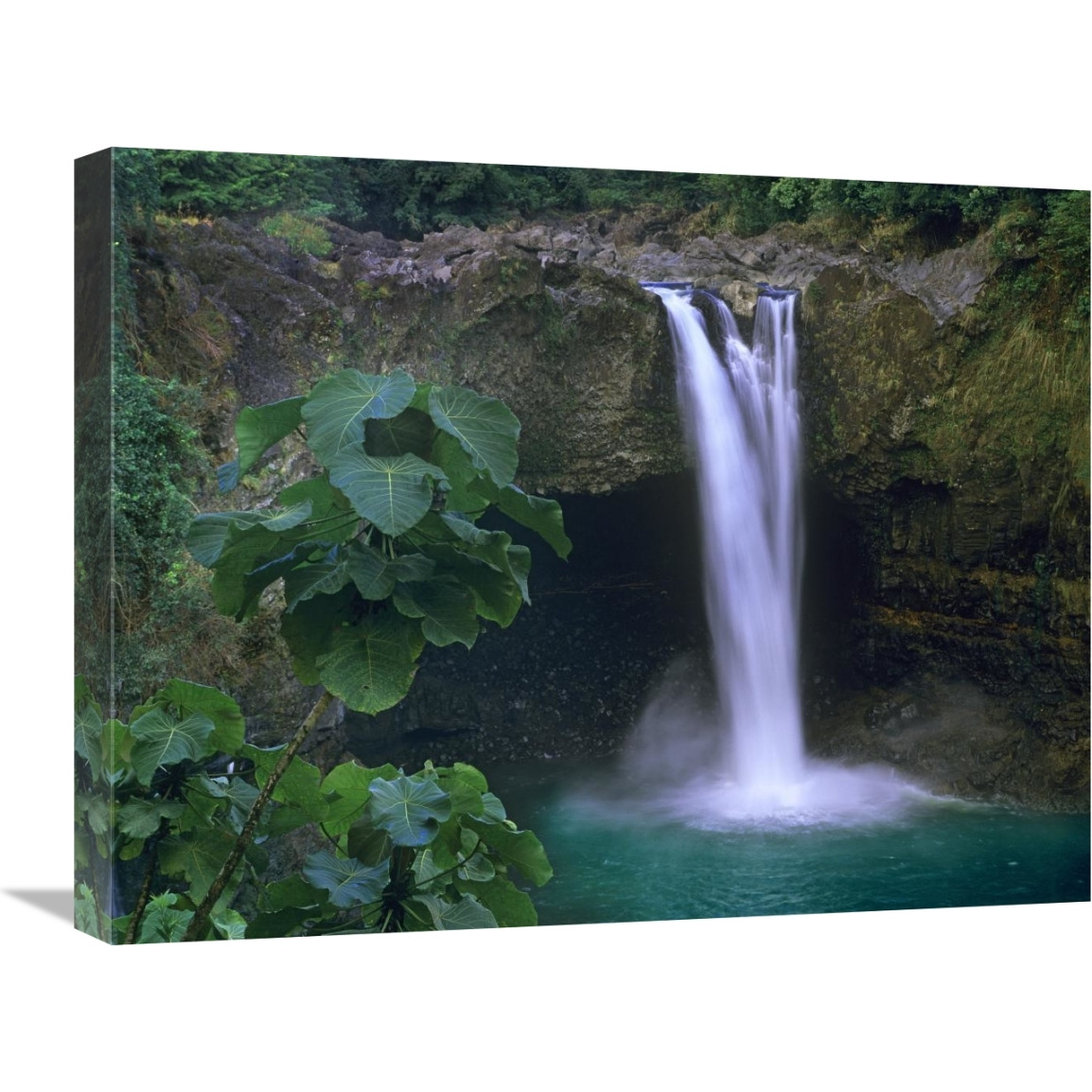 Rainbow Falls cascading into pool, Big Island, Hawaii-Canvas Art-24&quotx18"