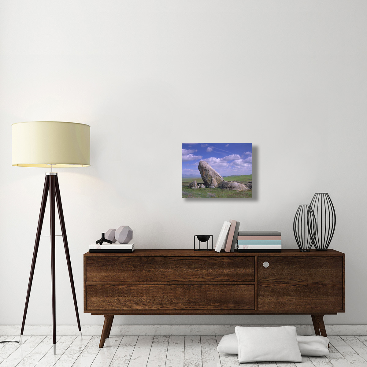 Boulders, Carrizo Plain National Monument, California-Canvas Art-24&quotx18"