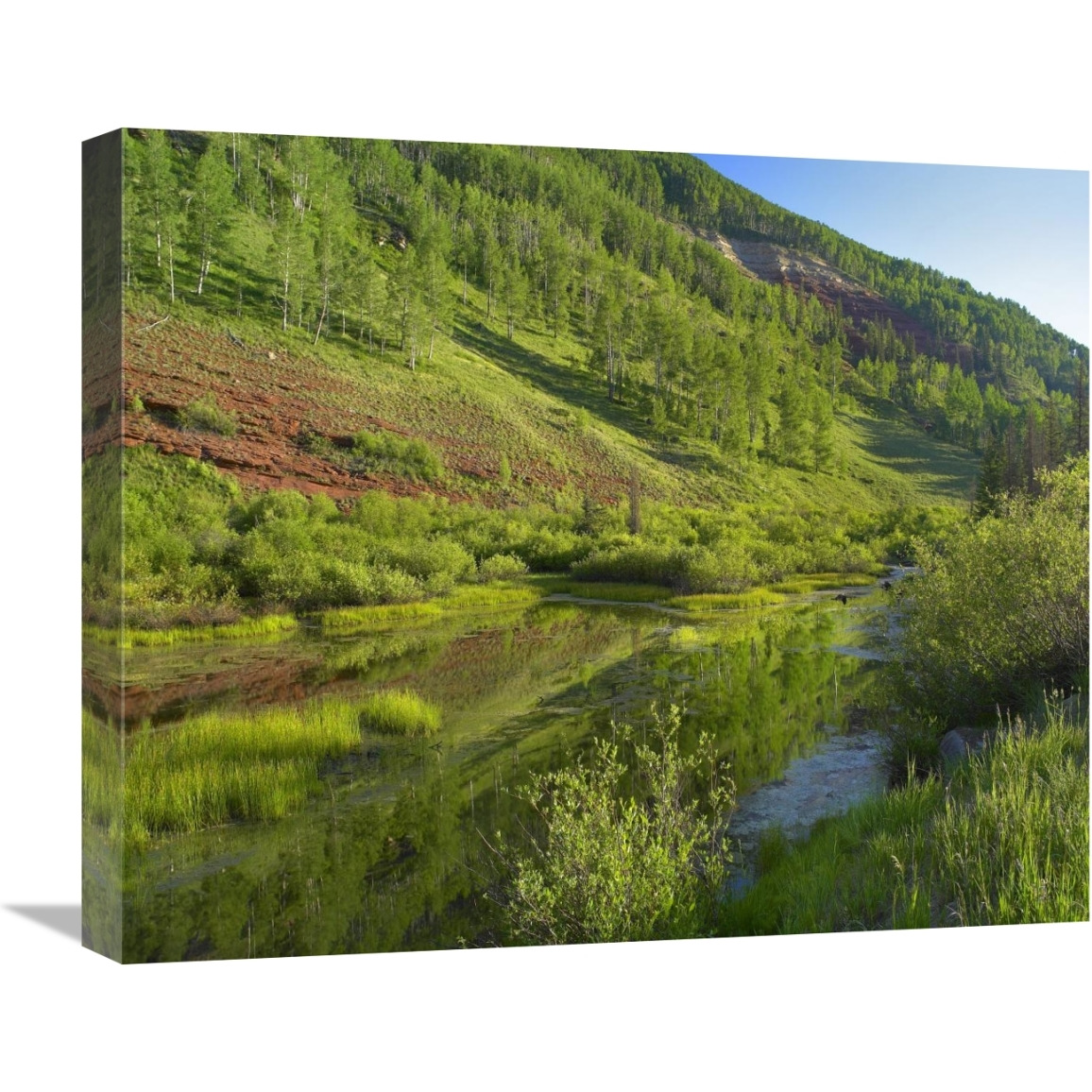 Rico Mountains and Dolores River backwaters, Colorado-Canvas Art-22&quotx18.26"