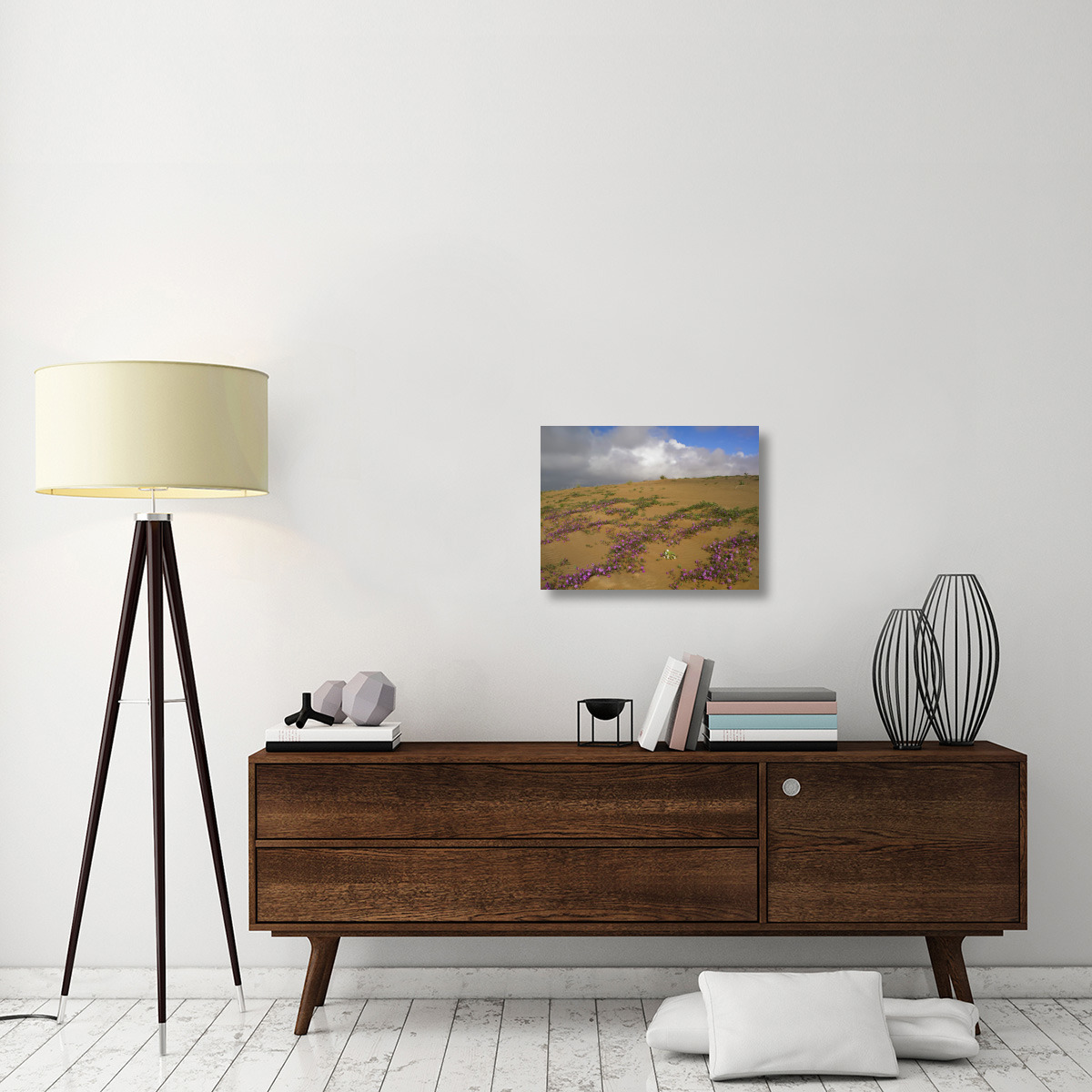 Sand Verbena growing, Imperial Sand Dunes, California-Canvas Art-24&quotx18"