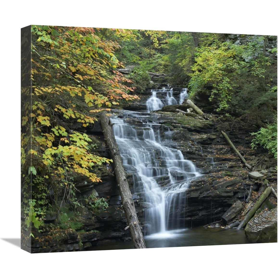 Delaware Falls, Ricketts Glen State Park, Pennsylvania-Canvas Art-22&quotx19.58"