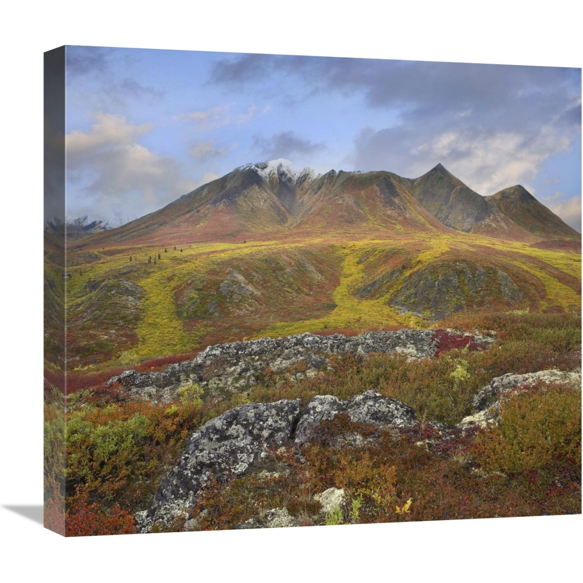 Cloudy Range, Tombstone Territorial Park, Yukon, Canada-Canvas Art-22&quotx20.02"