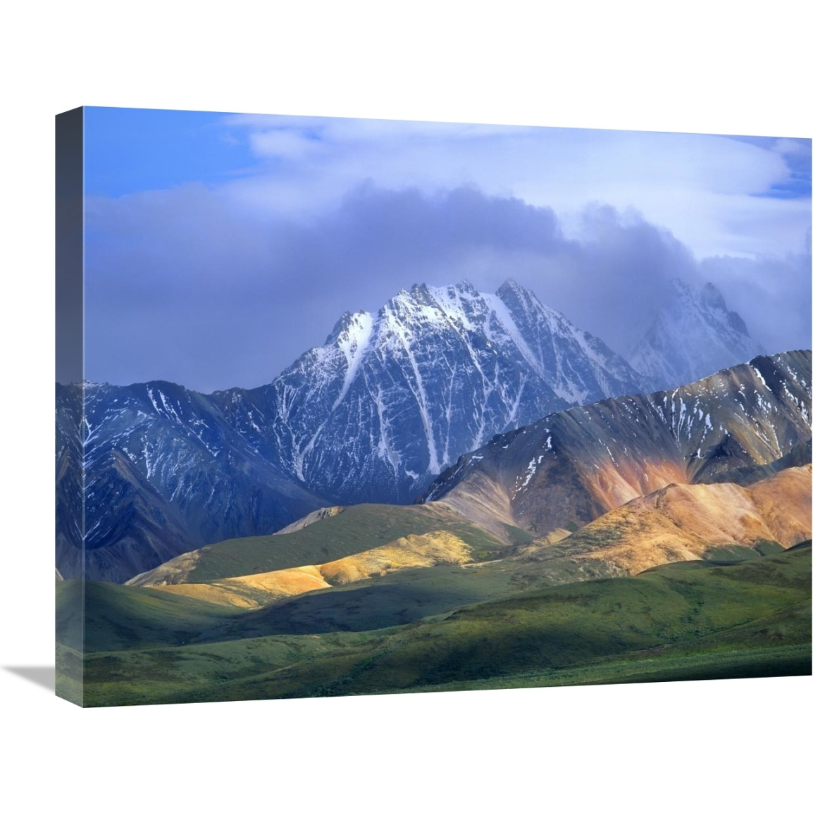 Alaska Range and foothills, Denali National Park, Alaska-Canvas Art-24&quotx20"