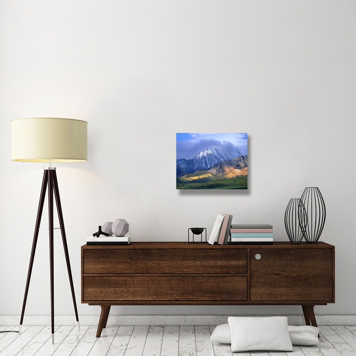 Alaska Range and foothills, Denali National Park, Alaska-Canvas Art-24&quotx20"