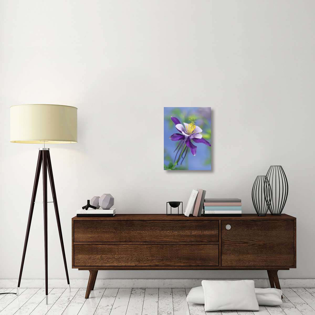 Colorado Blue Columbine close up of bloom, North America-Canvas Art-18&quotx24"