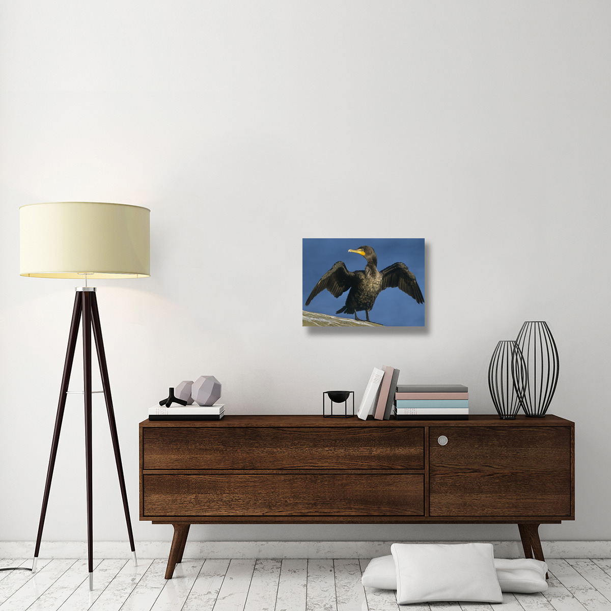 Double-crested Cormorant drying its wings, North America-Canvas Art-24&quotx18"