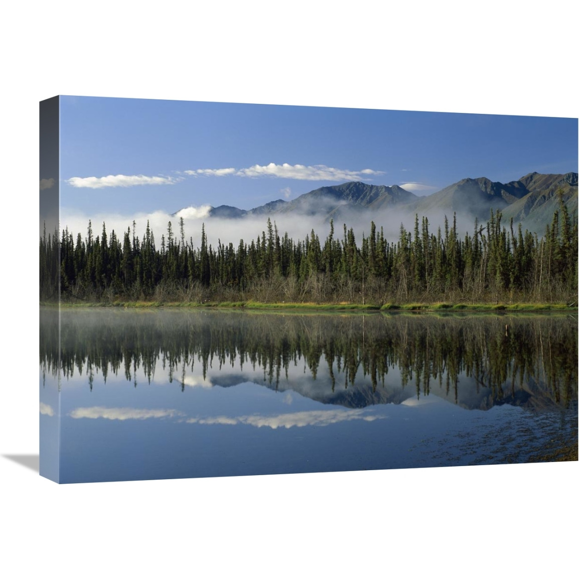 Boreal forest along lake edge, Nutzotin Mountains, Alaska-Canvas Art-24&quotx18"