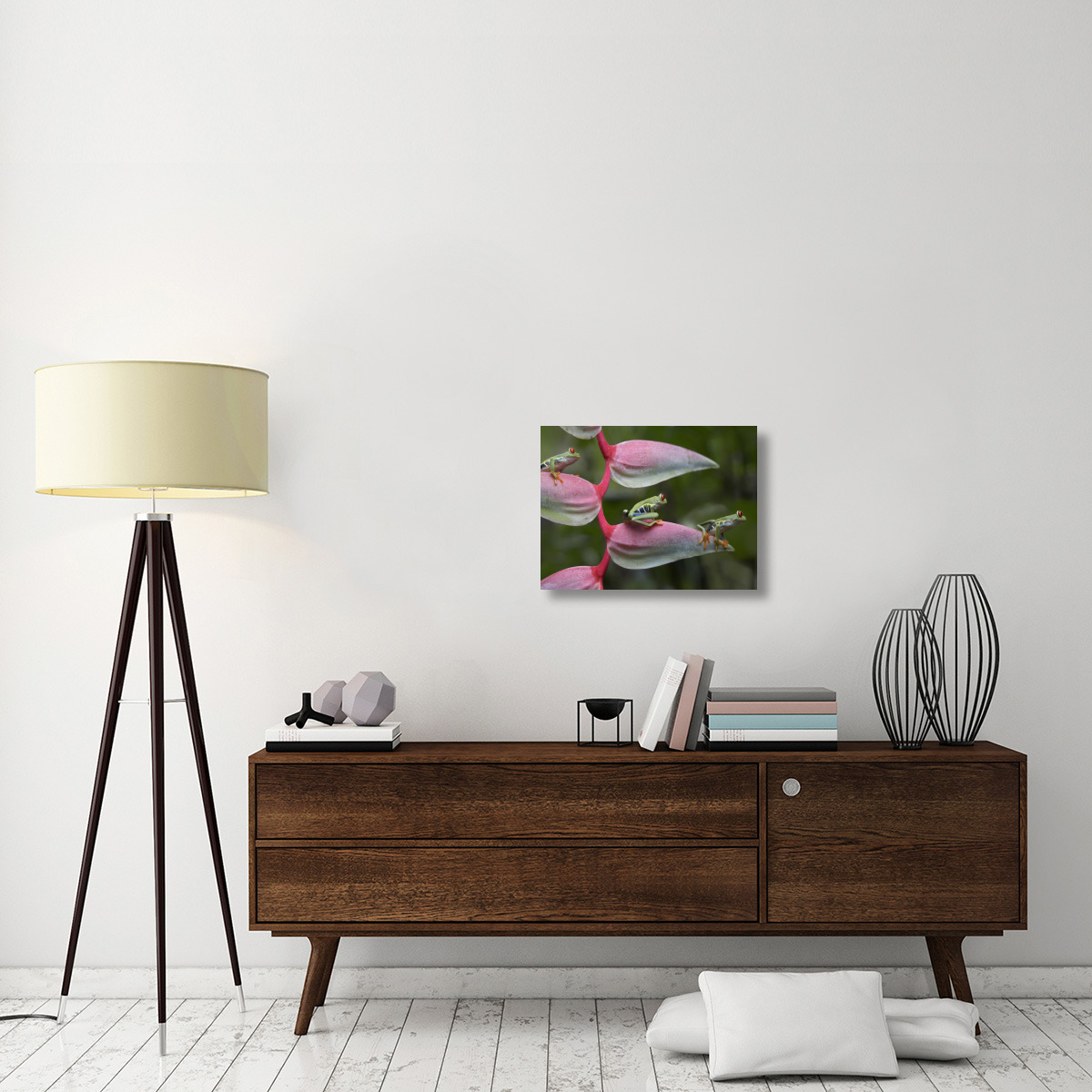 Red-eyed Tree Frog three sitting on Heliconia, Costa Rica-Canvas Art-24&quotx18"