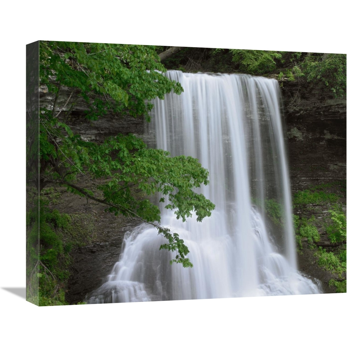 Cascading waterfall in Jefferson National Forest, Virginia-Canvas Art-22&quotx18.26"