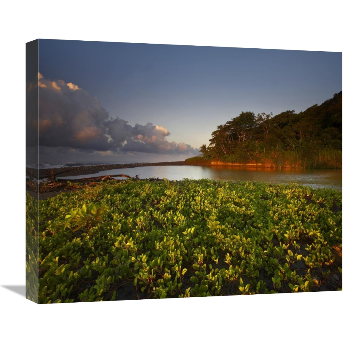 Lagoon near coastline, Corcovado National Park, Costa Rica-Canvas Art-22&quotx18.48"