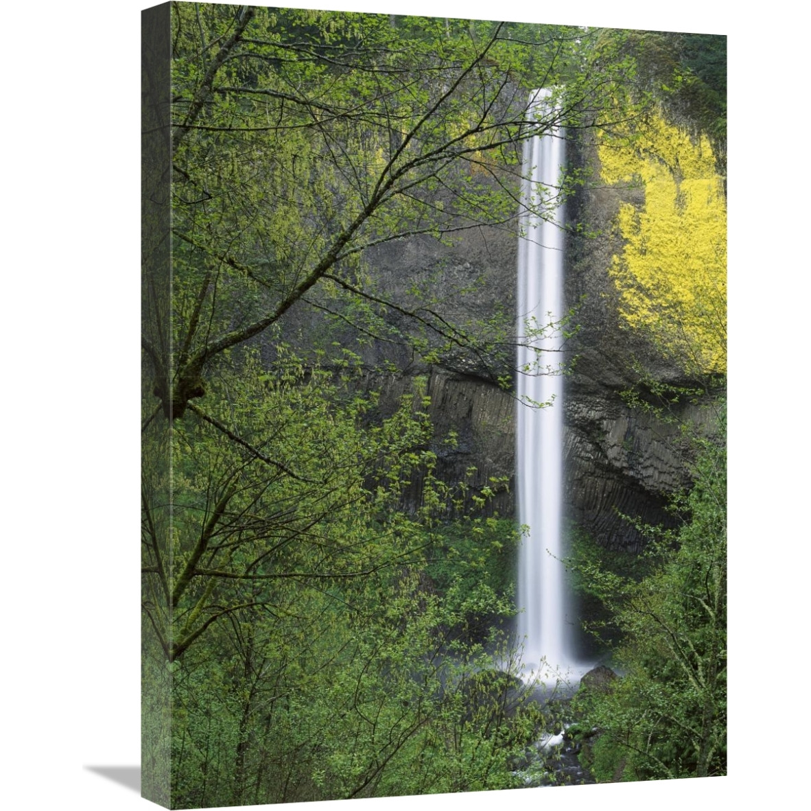 Latourell Falls, Columbia River Gorge near Portland, Oregon-Canvas Art-18&quotx24"