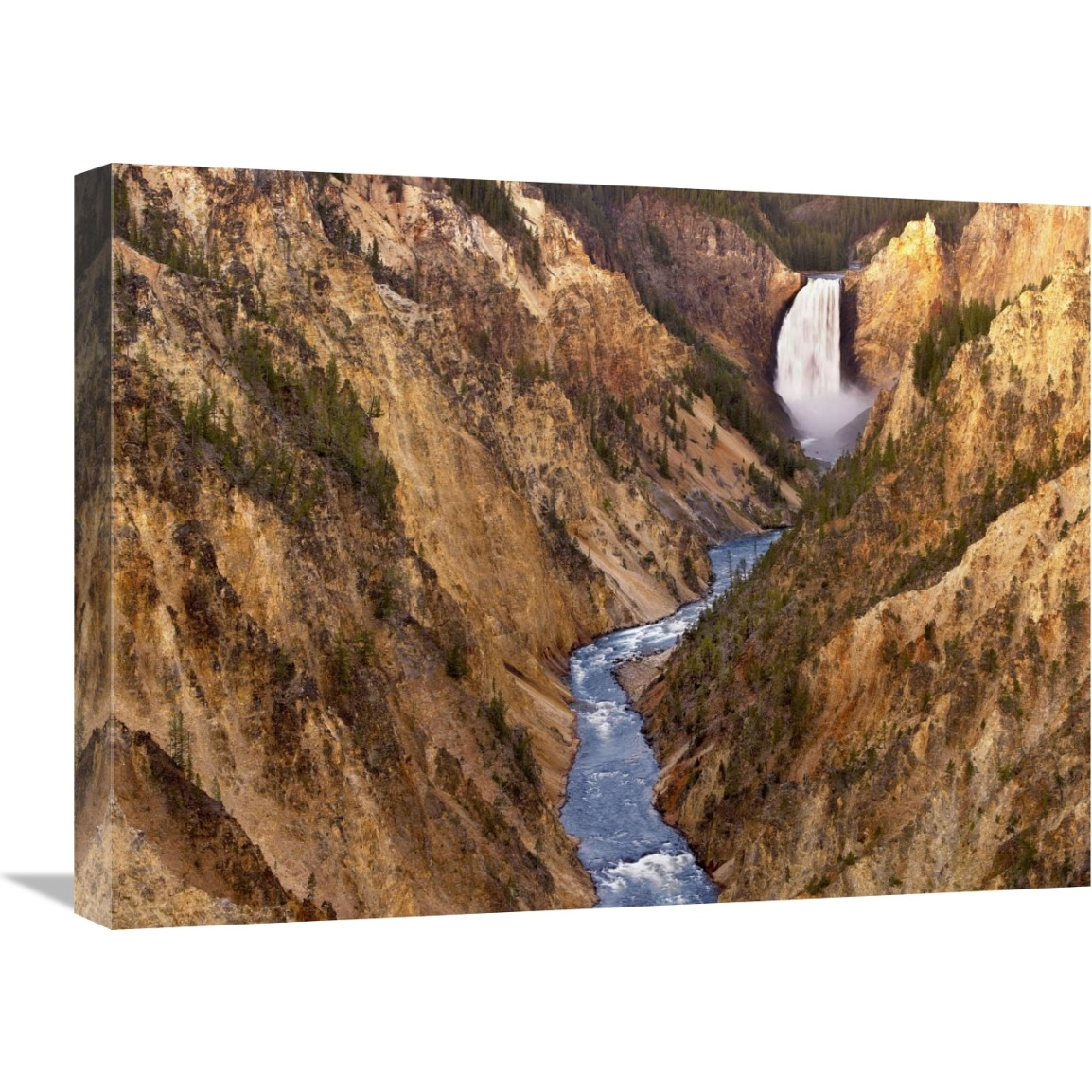 Lower Yellowstone Falls, Yellowstone National Park, Wyoming-Canvas Art-24&quotx18"