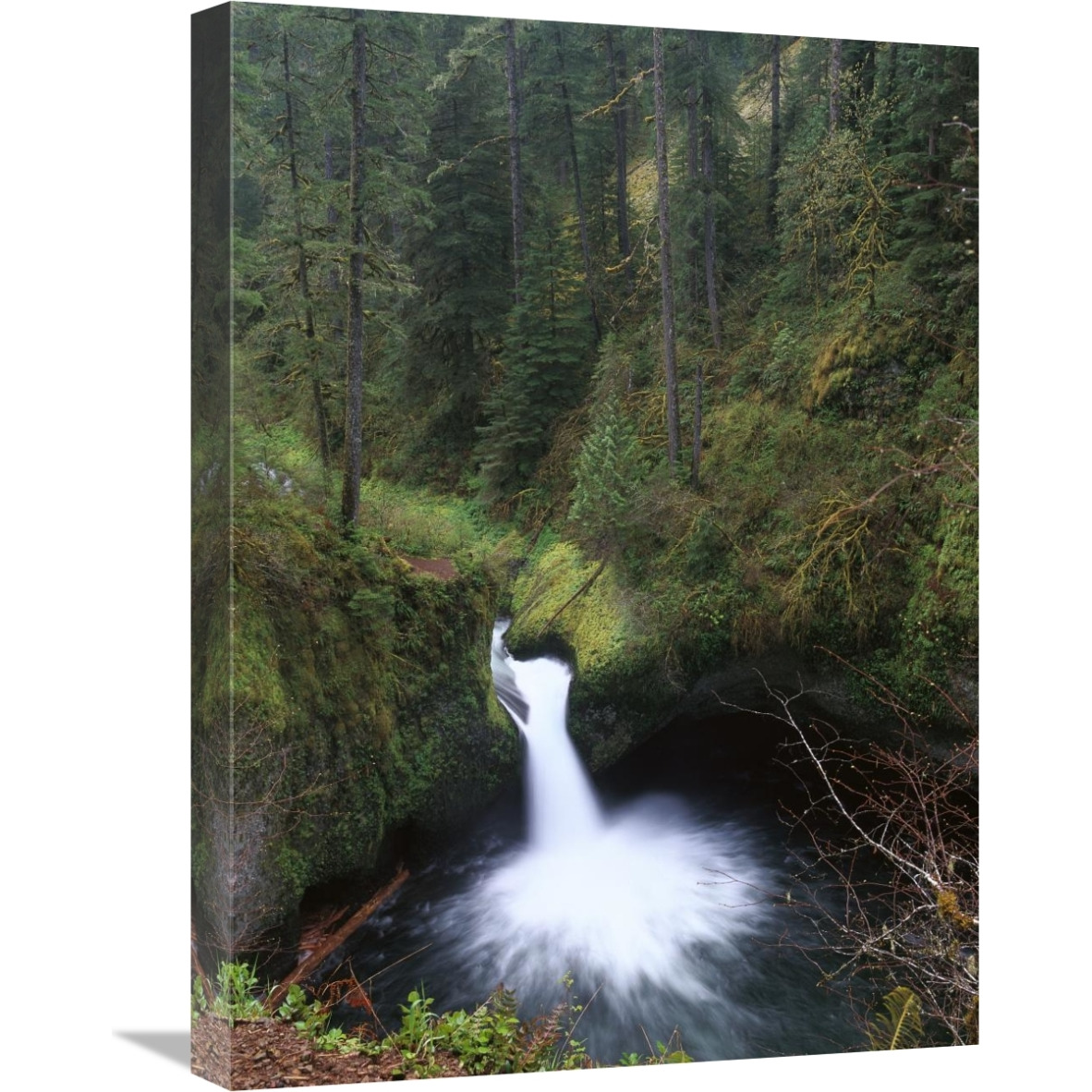 Punchbowl Falls at Eagle Creek, Columbia River Gorge, Oregon-Canvas Art-18&quotx24"