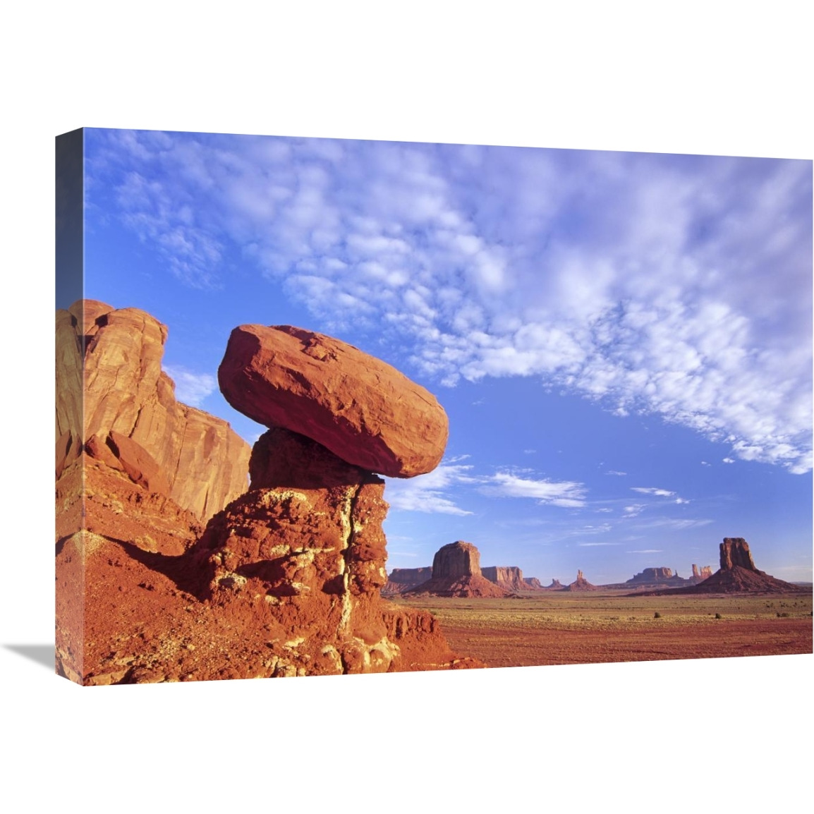 Mushroom Rock in Monument Valley Najavo Tribal Park, Arizona-Canvas Art-24&quotx18"