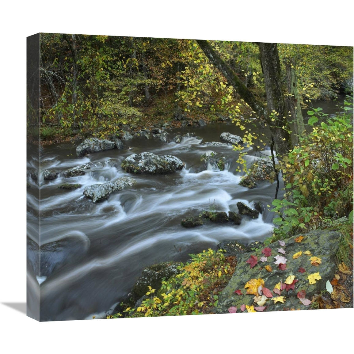 Little River, Great Smoky Mountains National Park, Tennessee-Canvas Art-22&quotx19.36"