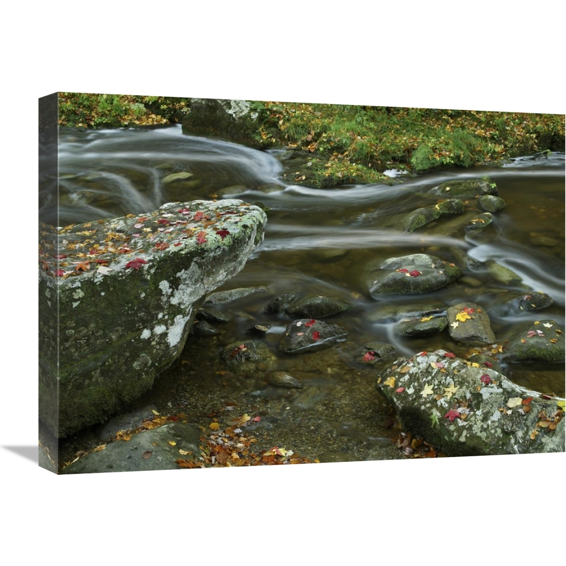 Laurel Creek, Great Smoky Mountains National Park, Tennessee-Canvas Art-24&quotx18"