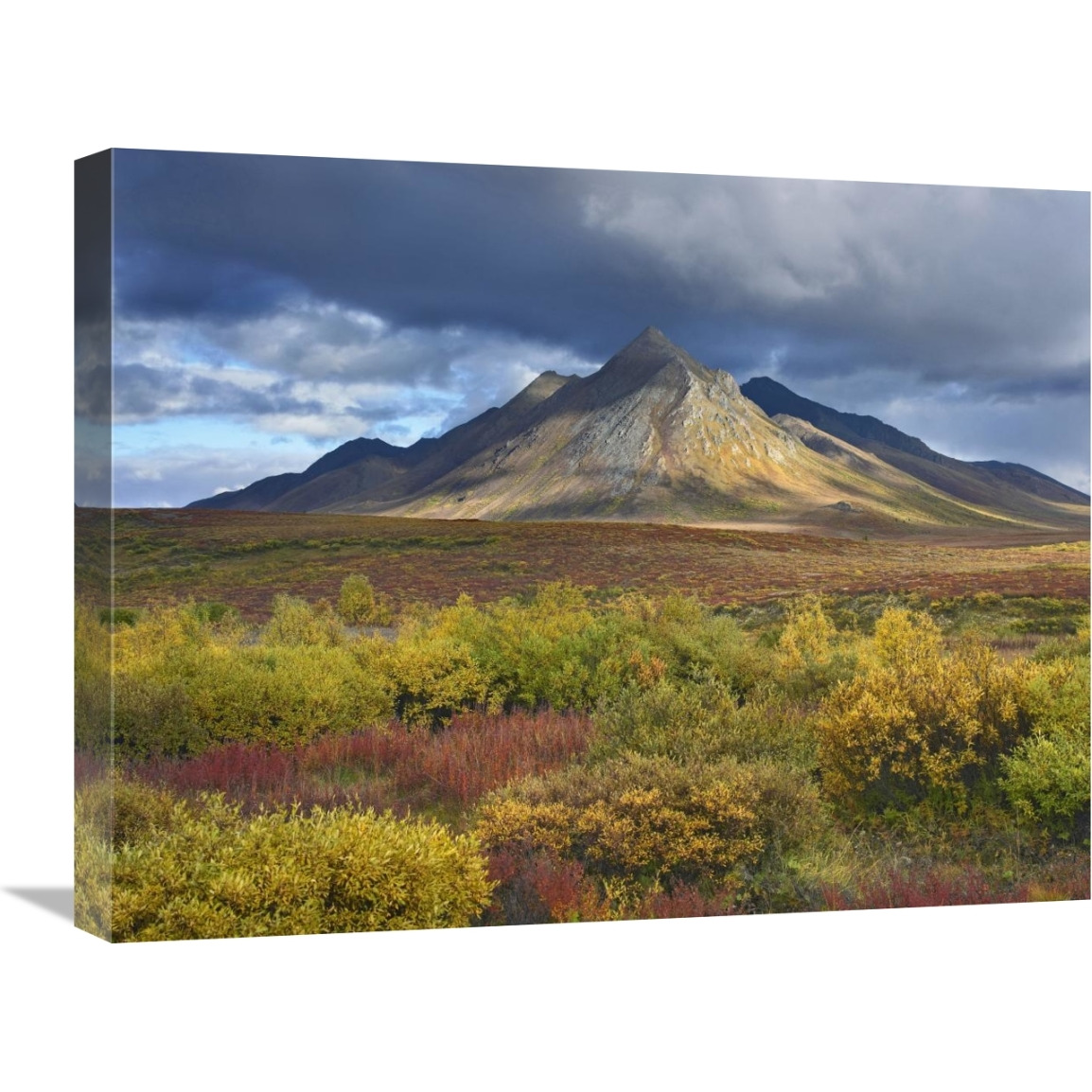 Ogilvie Mountains, Tombstone Territorial Park, Yukon, Canada-Canvas Art-24&quotx18"