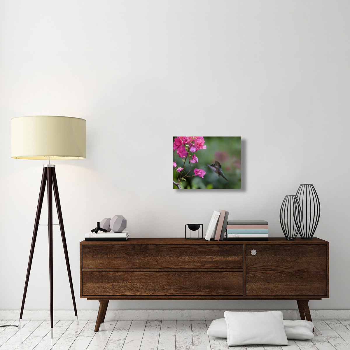 Magnificent Hummingbird female feeding at flower, Costa Rica-Canvas Art-24&quotx18"