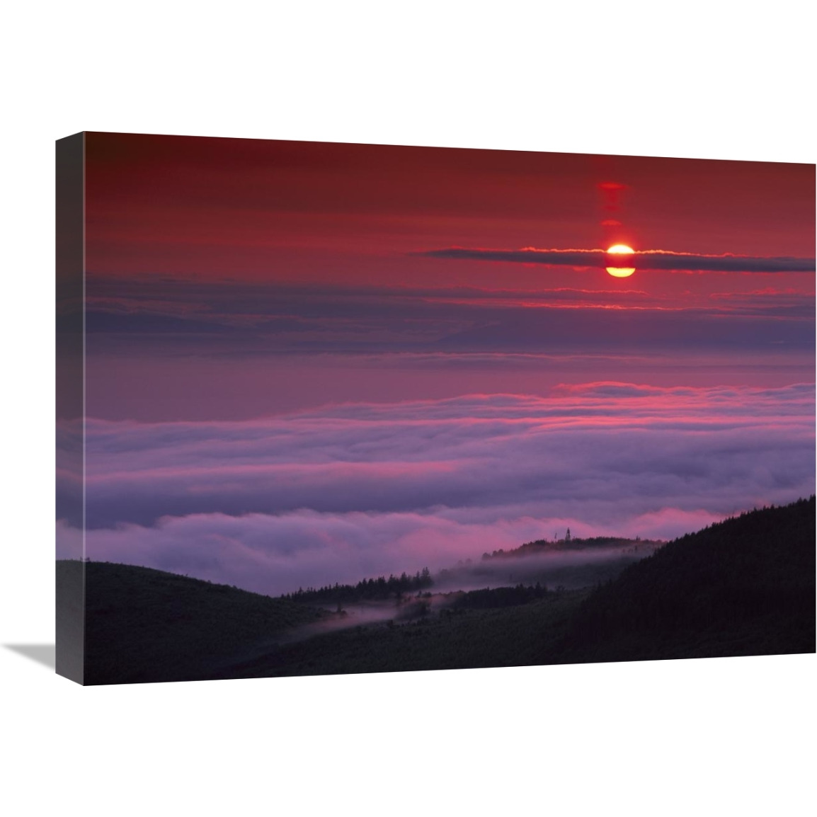 Sunrise at Hurricane Ridge, Olympic National Park, Washington-Canvas Art-24&quotx18"