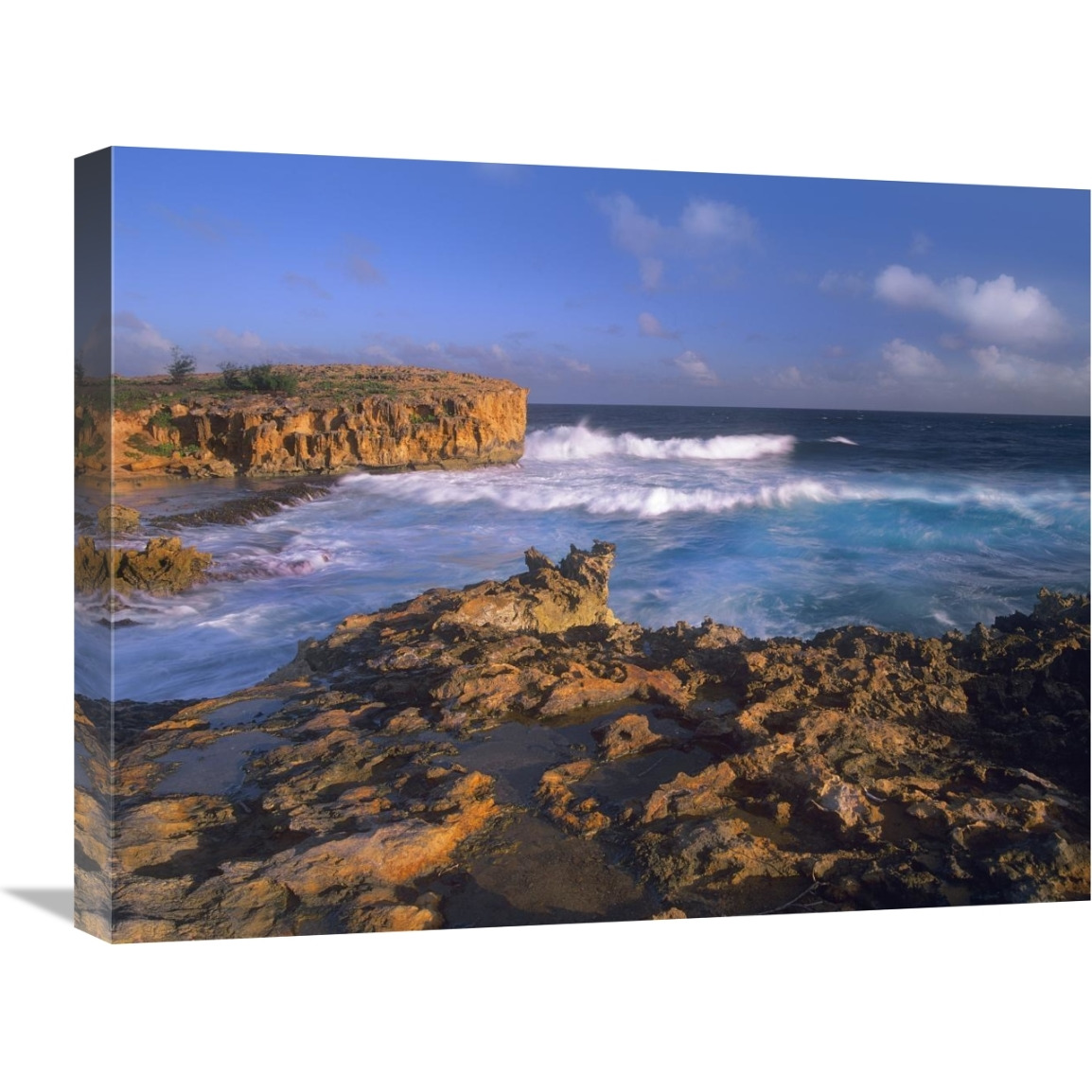 Pacific Ocean waves and cliffs at Keoneloa Bay, Kauai, Hawaii-Canvas Art-24&quotx18"