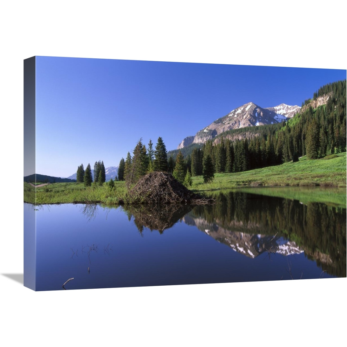 Gothic Mountain and Beaver Lodge, near Crested Butte, Colorado-Canvas Art-24&quotx18"