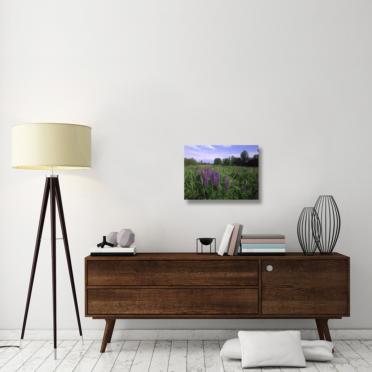 Lupine in meadow near crescent beach, British Columbia, Canada-Canvas Art-24&quotx18"