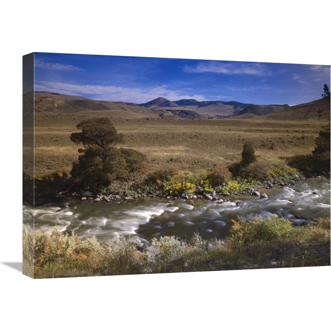 River flowing though meadow, Yellowstone National Park, Wyoming-Canvas Art-24&quotx18"