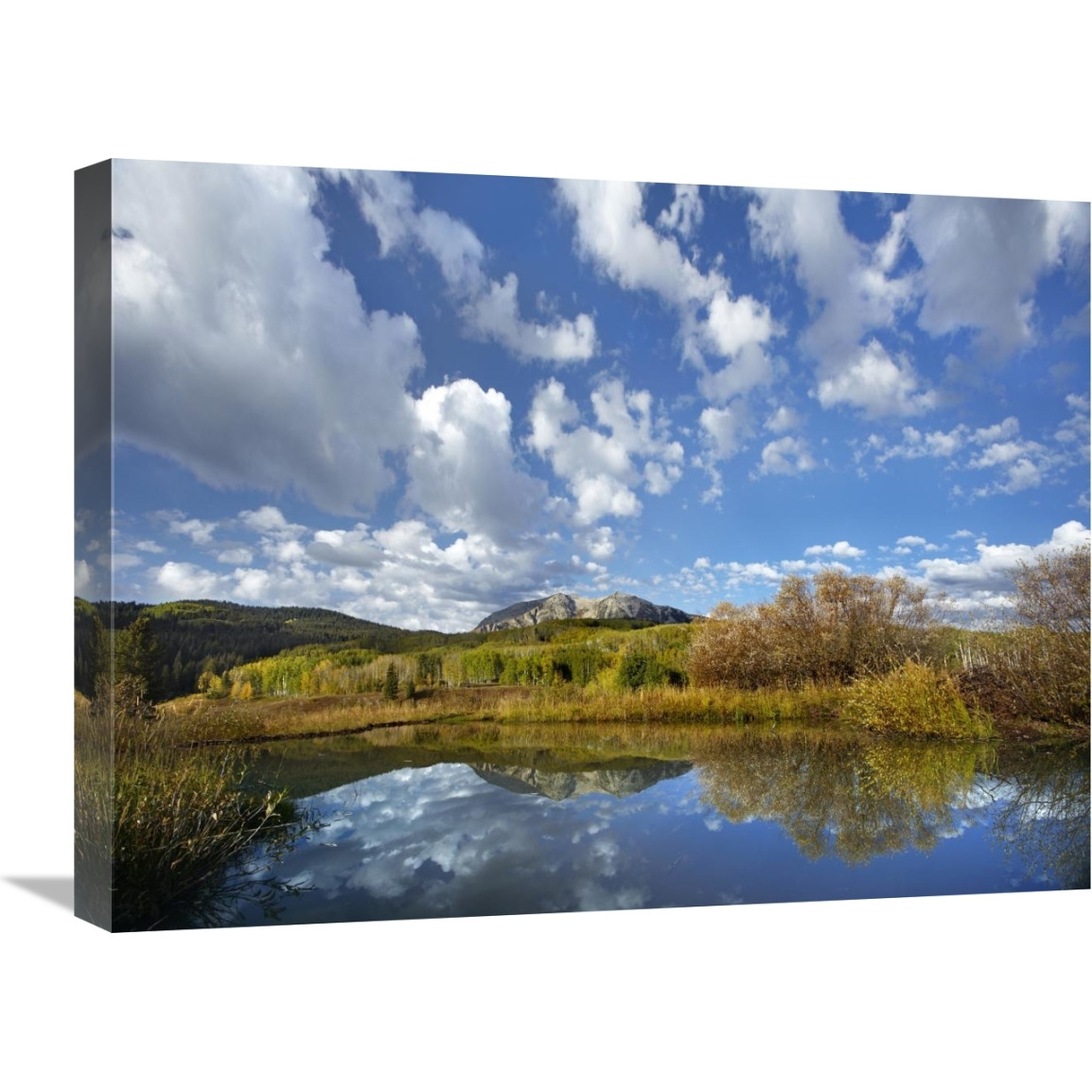 Pond near East Beckwith Mountain, West Elk Wilderness, Colorado-Canvas Art-24&quotx18"