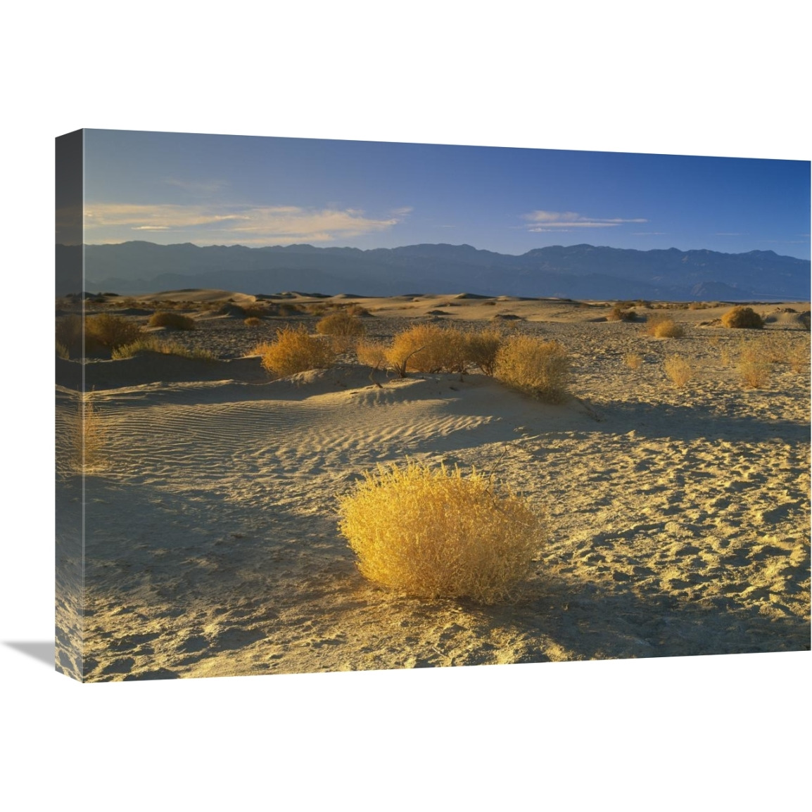 Mesquite Flat Sand Dunes, Death Valley National Park, California-Canvas Art-24&quotx18"