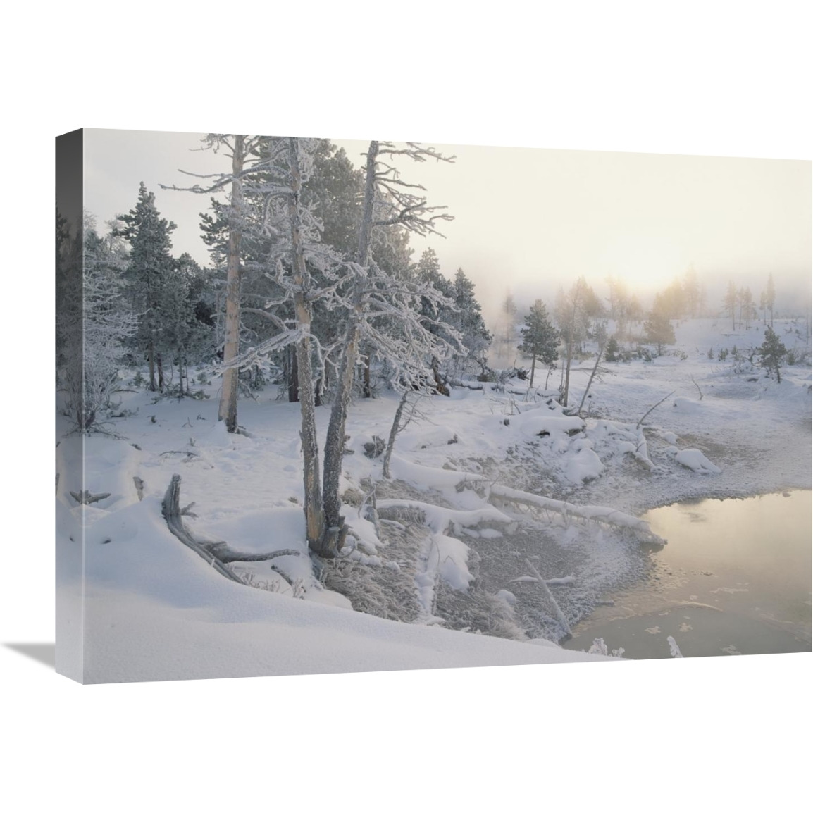 Upper Geyser Basin in winter, Yellowstone National Park, Wyoming-Canvas Art-24&quotx18"