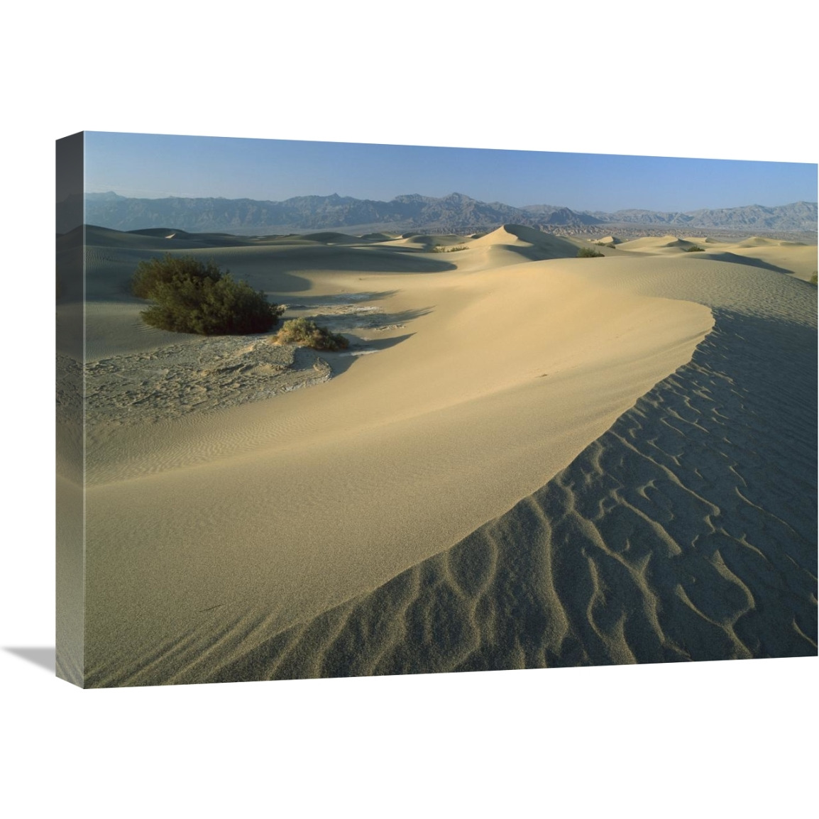 Mesquite Flat Sand Dunes, Death Valley National Park, California-Canvas Art-24&quotx18"