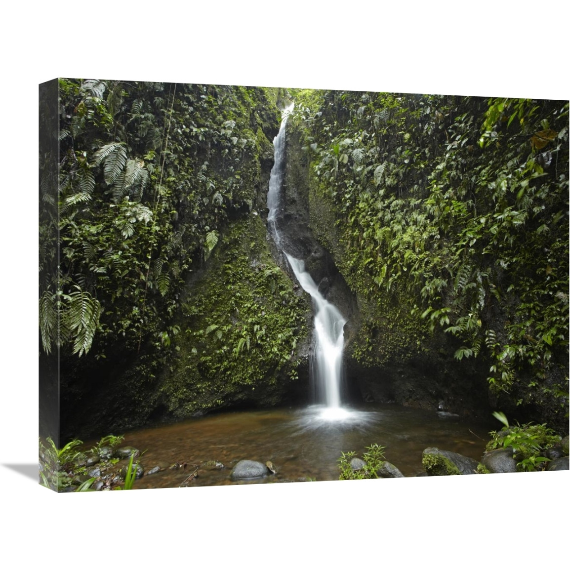 Waterfall in the Milpe Bird Sanctuary, Mindo Cloud Forest, Ecuador-Canvas Art-24&quotx18"