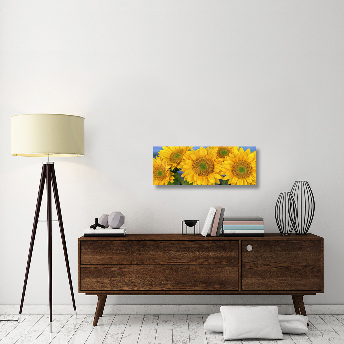 Common Sunflower group showing symmetrical seed heads, North America-Canvas Art-36&quotx13.68"